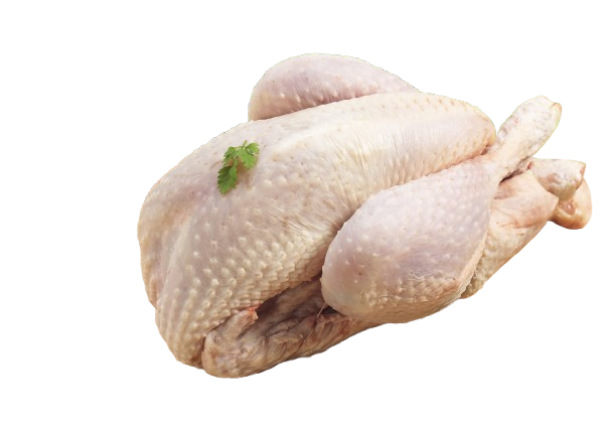 Suppenhuhn 1000g-1300g TK